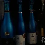 公寓 Belvedere Chic Loft View 凡尔赛