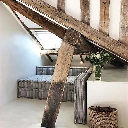 Belvedere Chic Loft View Versailles