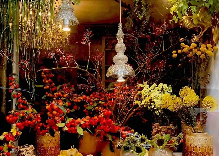 Belvedere Chic Loft View Apartment Versailles