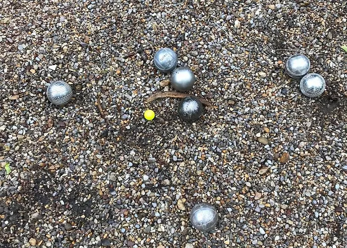 Belvedere Chic Loft View